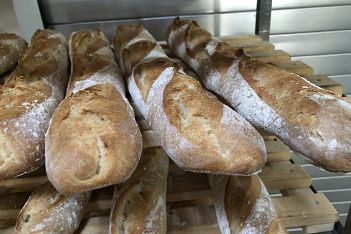 Ciabatta-Baguette-7