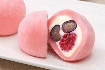 Mochi-smart-2