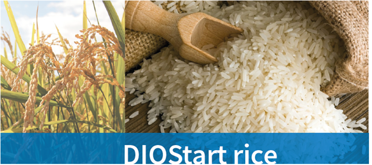 IZD-PEKARNA-STARTER-RICE-SL-00-naslovna