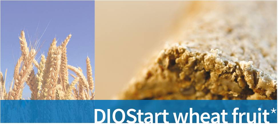IZD-PEKARNA-STARTER-W-fruit-SL-00-naslovna