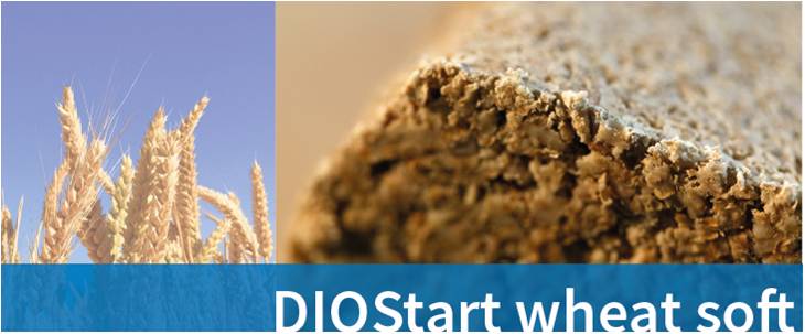 IZD-PEKARNA-STARTER-W-soft-SL-00-naslovna